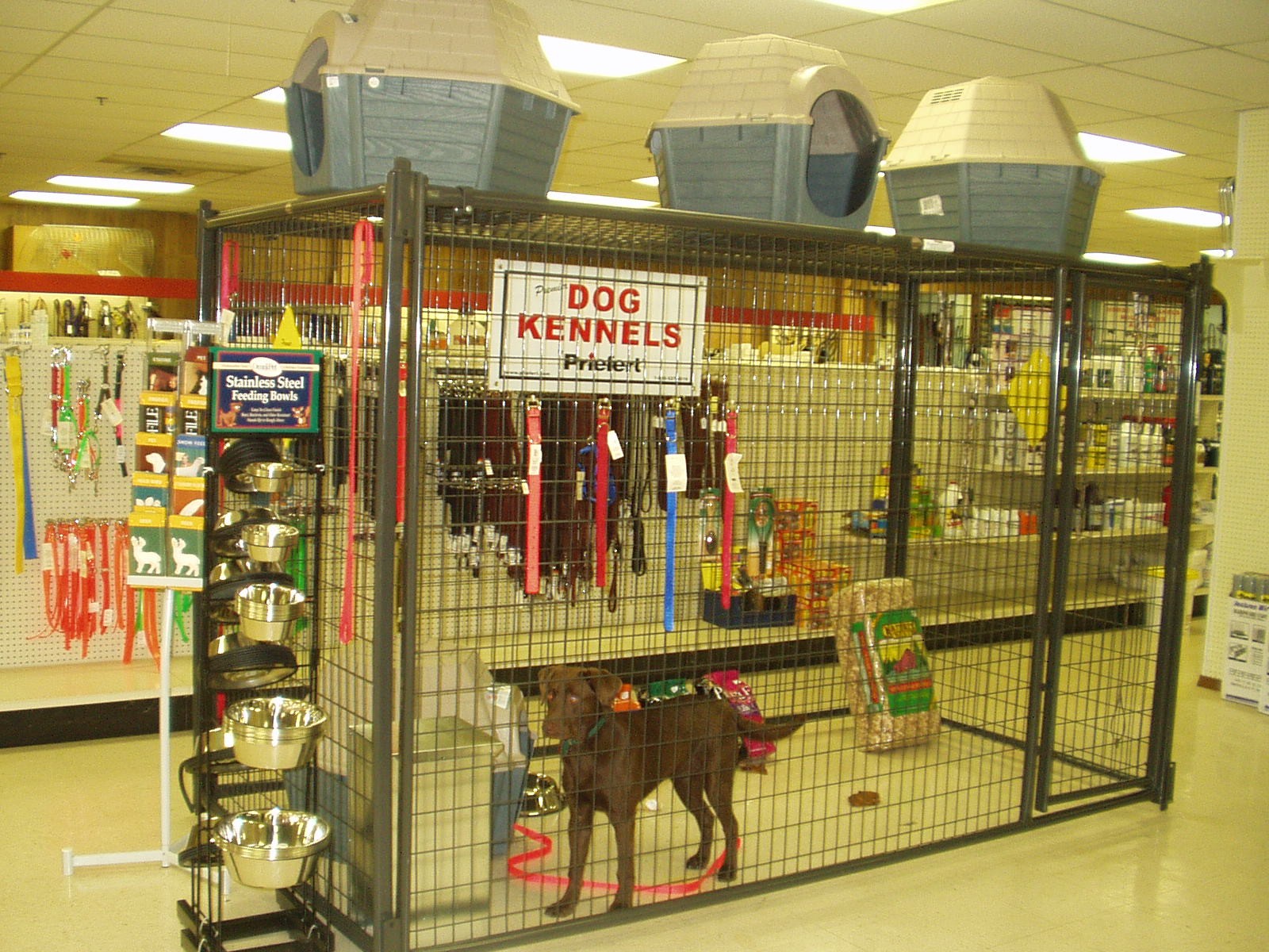 Indoor Kennel Display 2.jpg